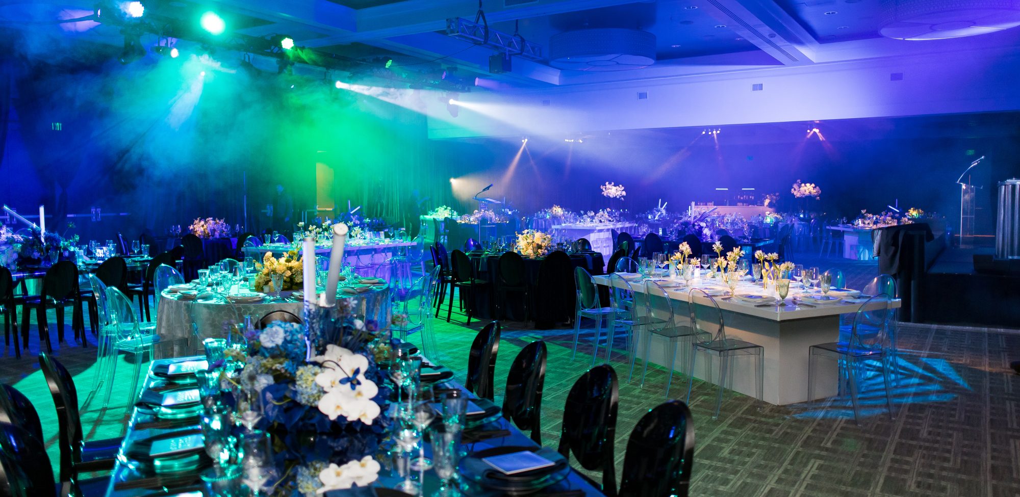 Dallas AACWP Vendis Sneak Peeks-136