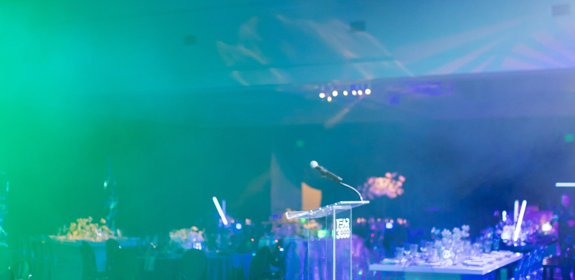 Dallas AACWP Vendis Sneak Peeks-167