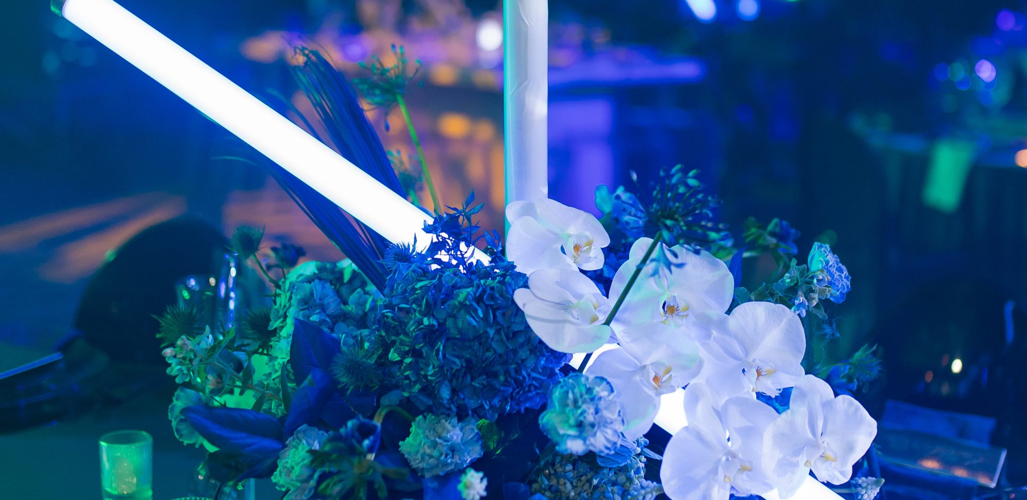 Dallas AACWP Vendis Sneak Peeks-173