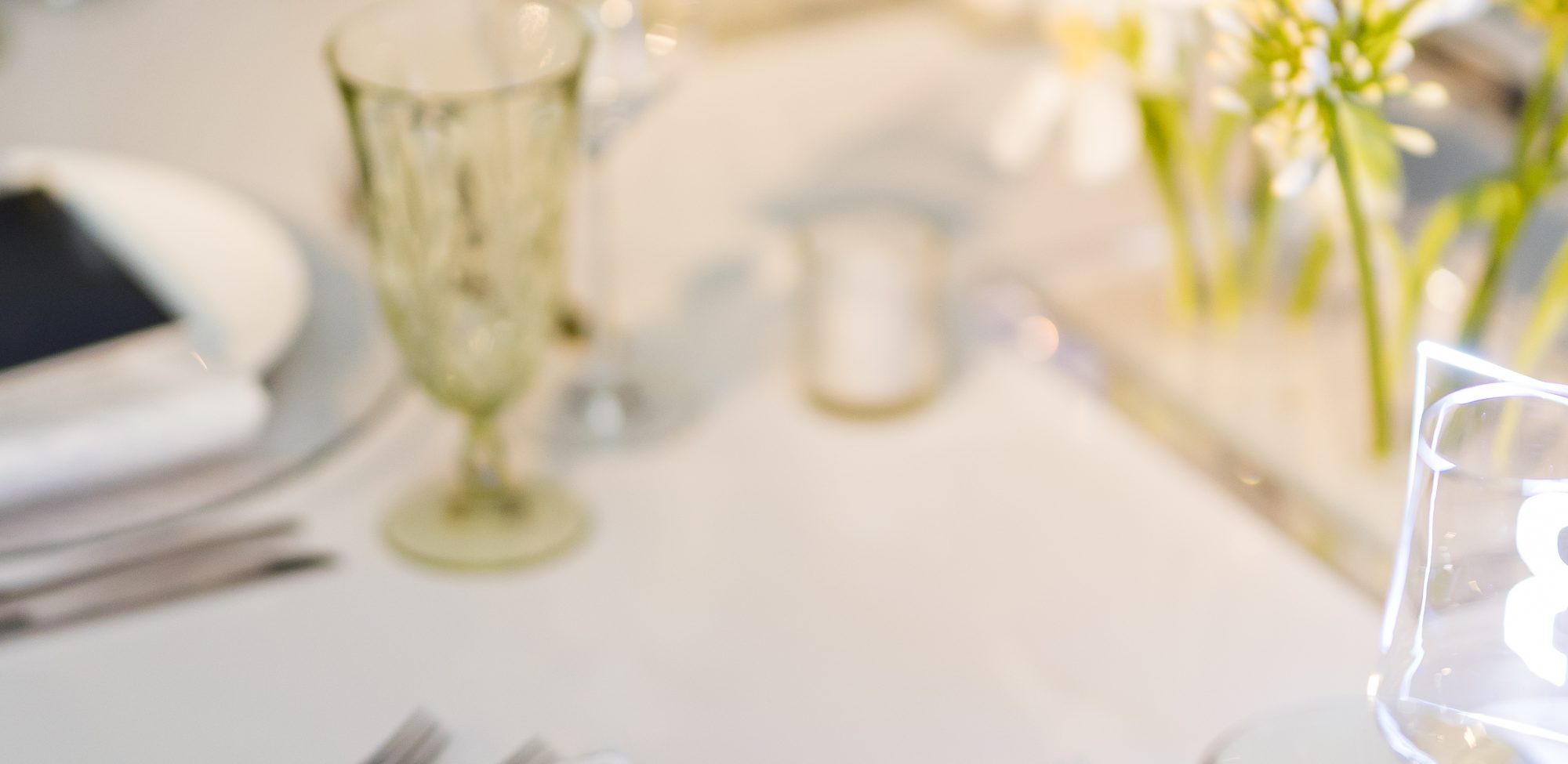 Dallas AACWP Vendis Sneak Peeks-181