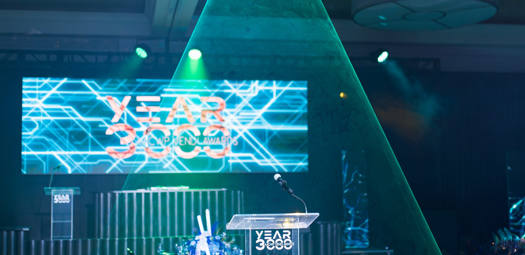 Dallas AACWP Vendis Sneak Peeks-189