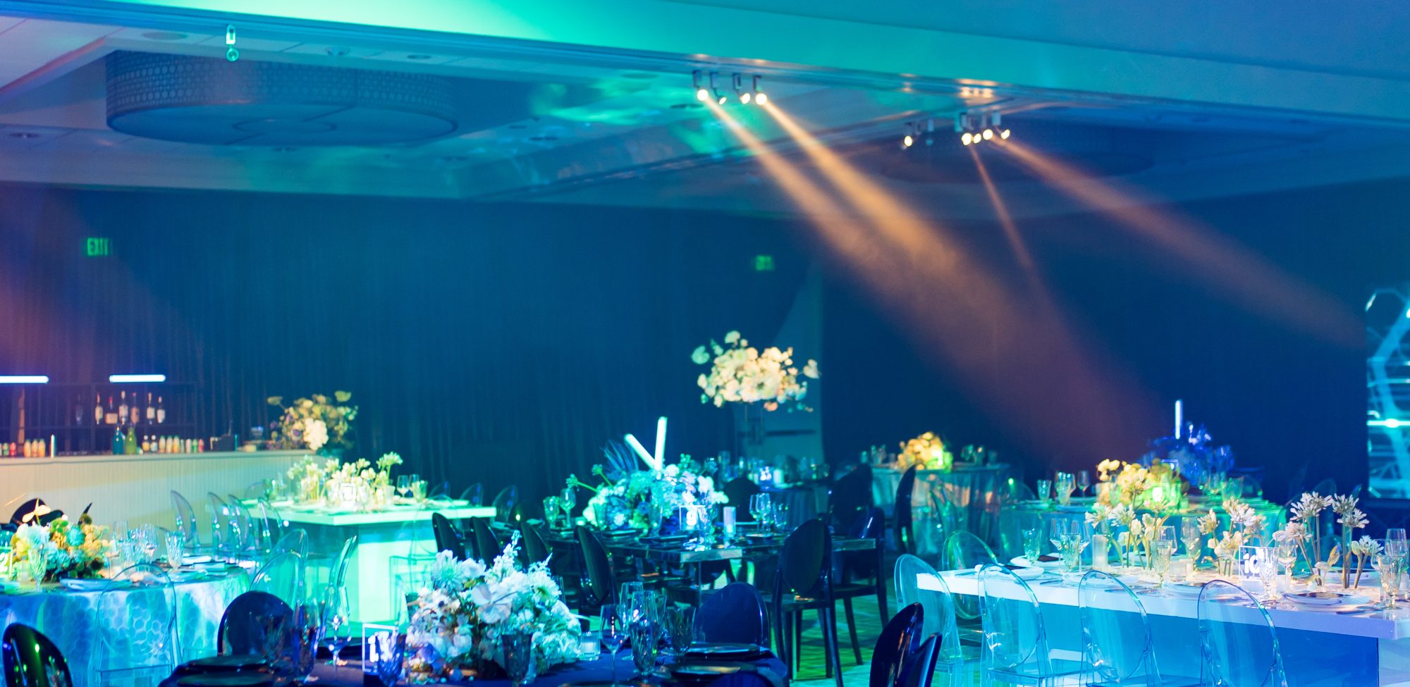 Dallas AACWP Vendis Sneak Peeks-191