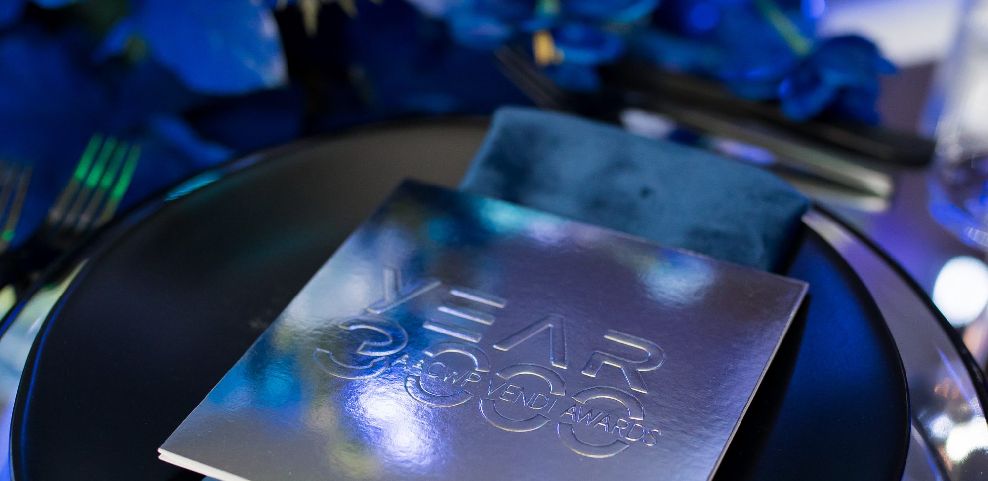 Dallas AACWP Vendis Sneak Peeks-196