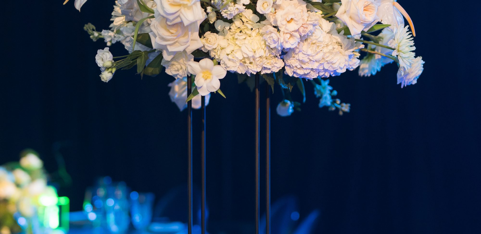 Dallas AACWP Vendis Sneak Peeks-199