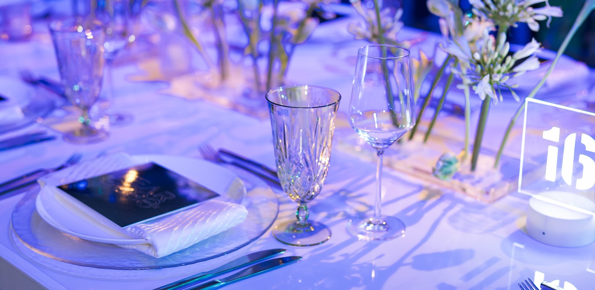 Dallas AACWP Vendis Sneak Peeks-208