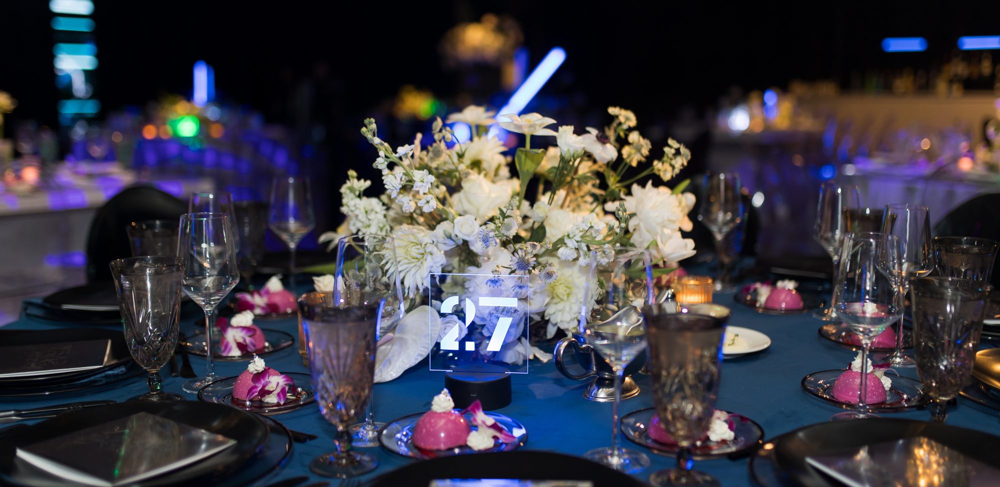 Dallas AACWP Vendis Sneak Peeks-239