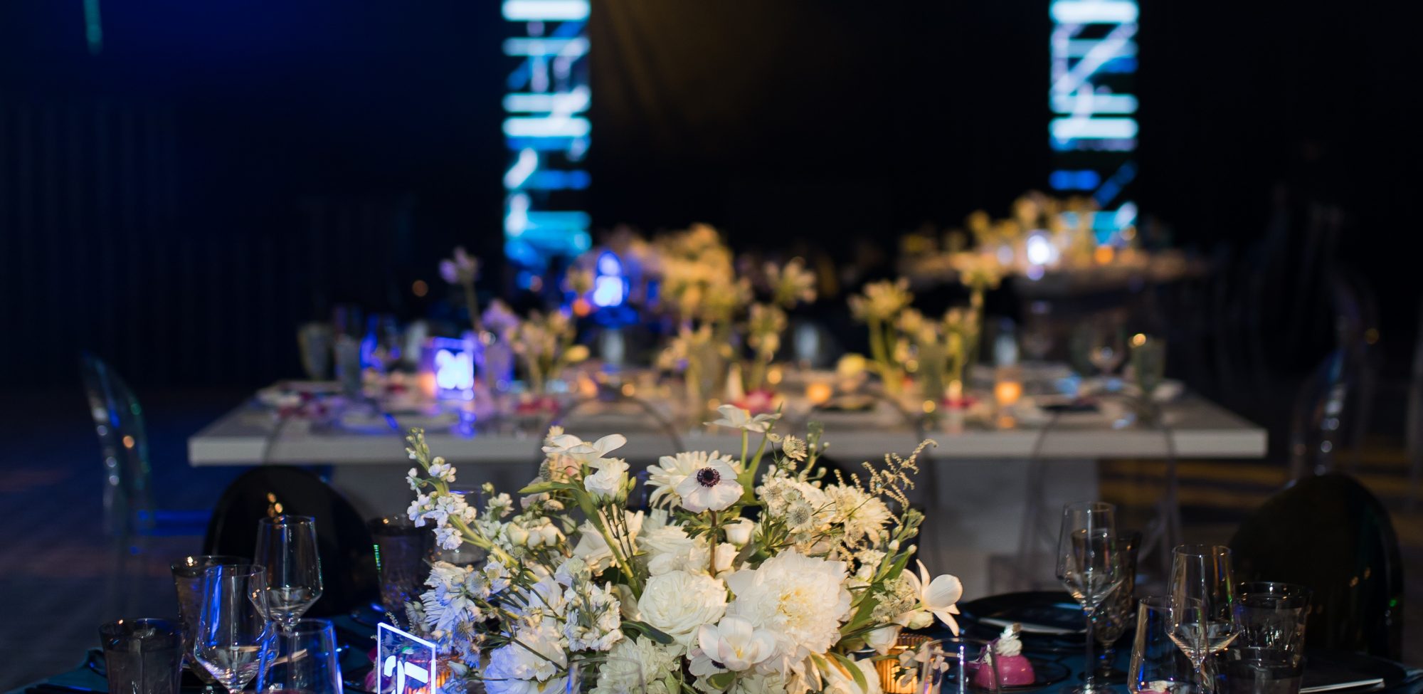 Dallas AACWP Vendis Sneak Peeks-240