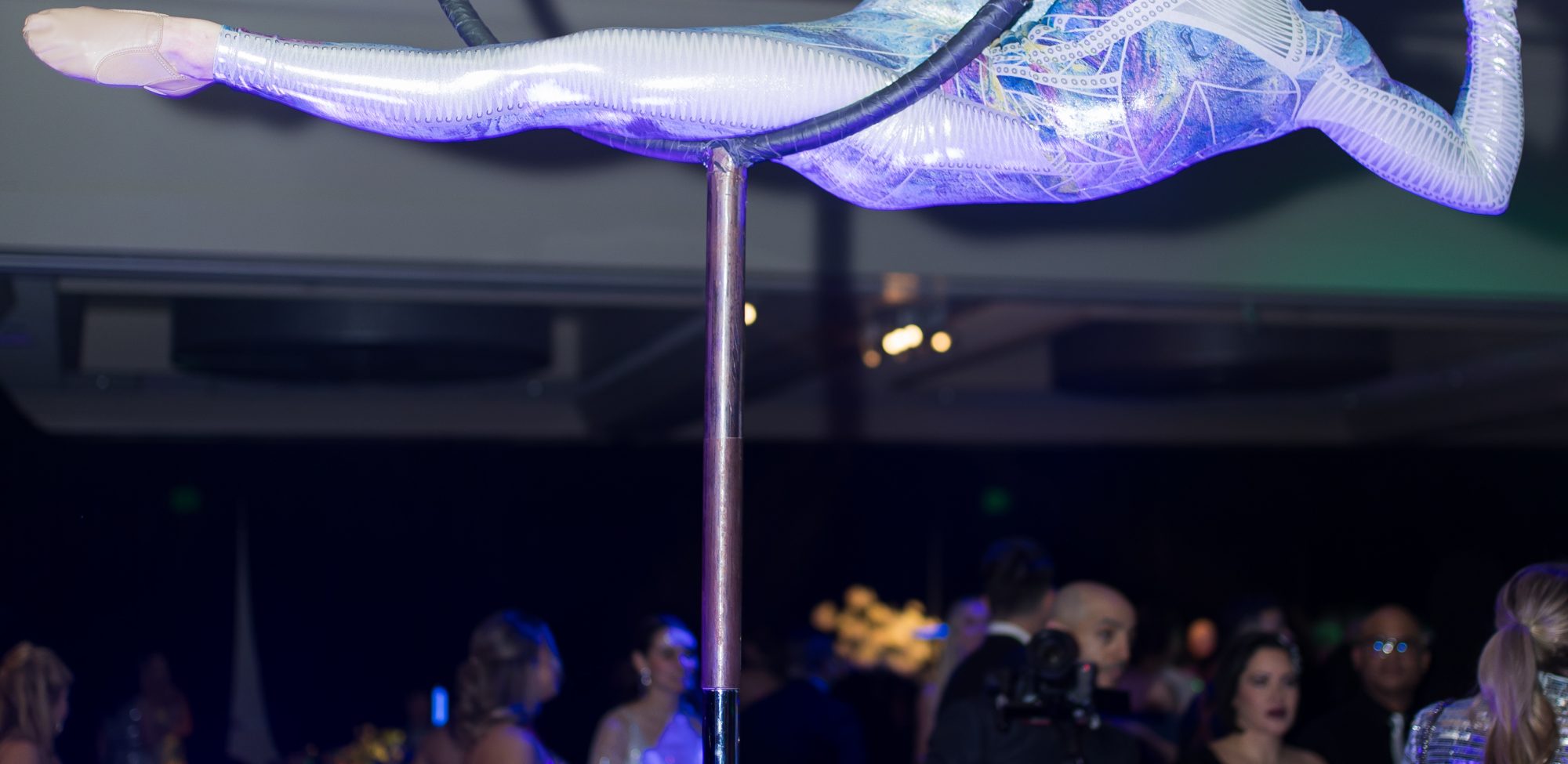 Dallas AACWP Vendis Sneak Peeks-264